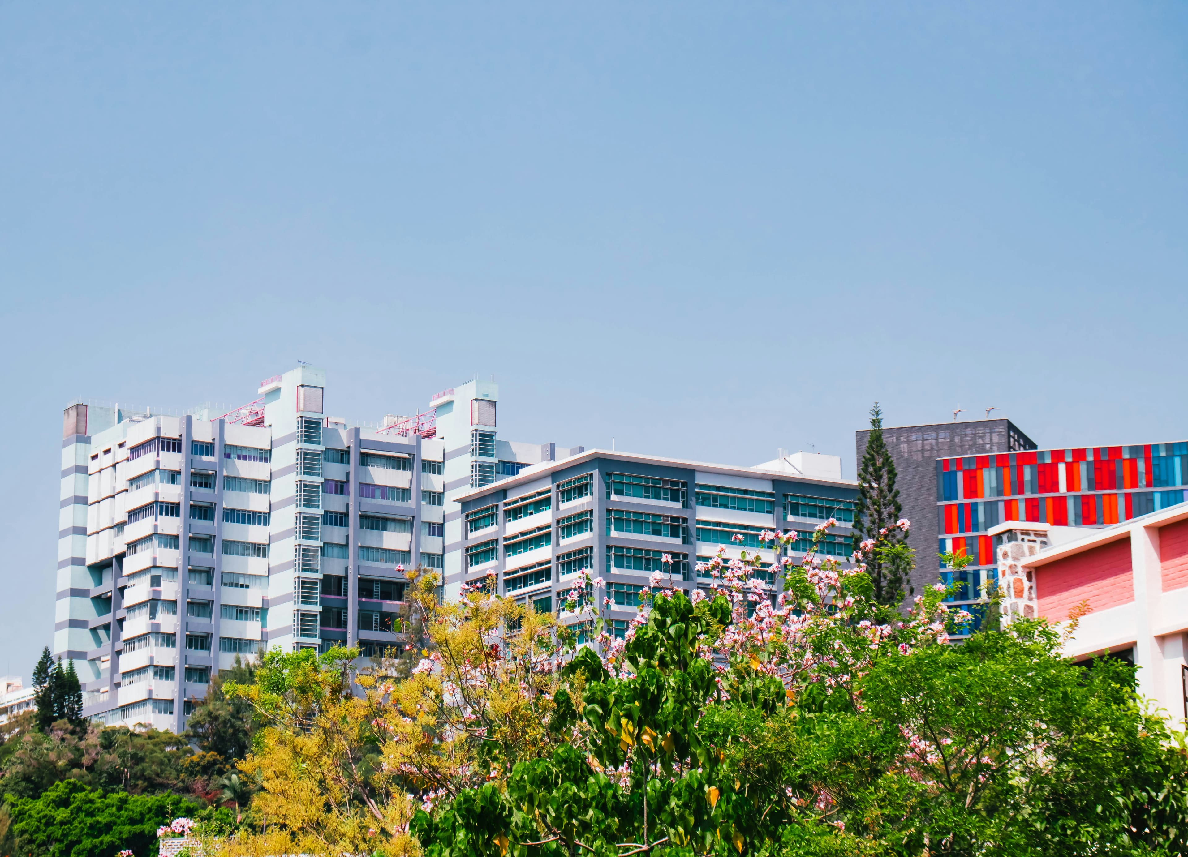 Chinese University of Hong Kong